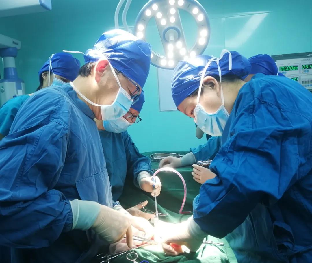 仁心妙手除顽疾 患者锦旗表谢意(图3)