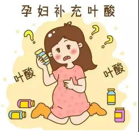 【视频】备孕怀孕时为什么要补充叶酸？(图2)